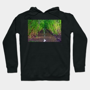 Waterway in the Tra Su Cajuput Forest, Vietnam Hoodie